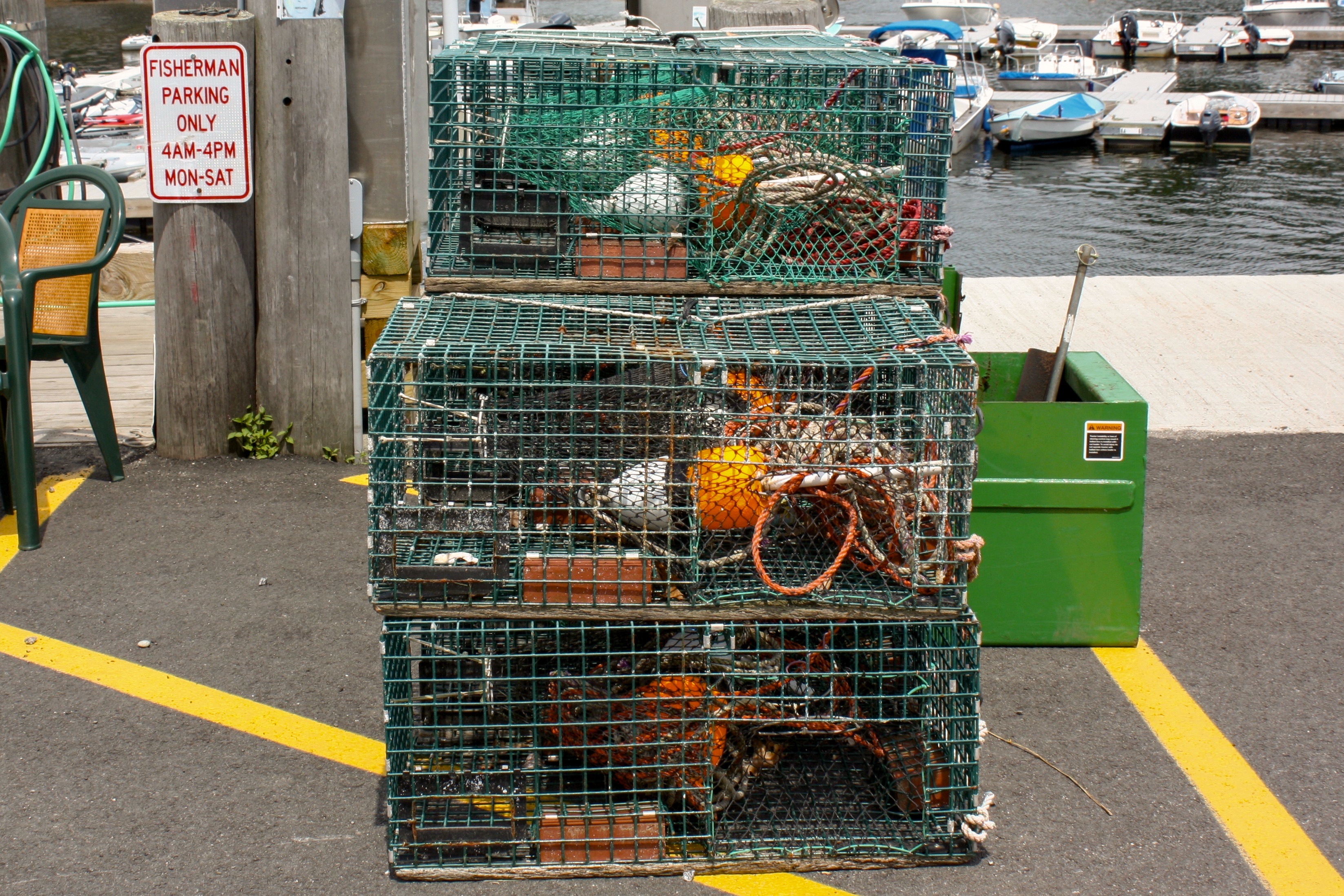 Mid-coast Maine. Puffins, Lighthouses, Family.